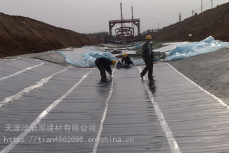 南开区平房铺油毡防水补漏 专业团队守护建筑结构安全